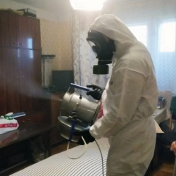 Дезинфекция от клопов в Чусовом