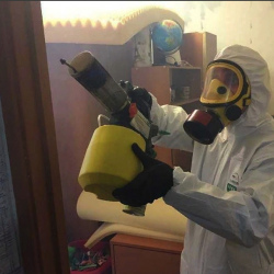 Уничтожение клопов в квартире. Чусовой